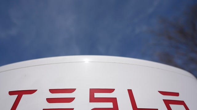 Tesla Protest 