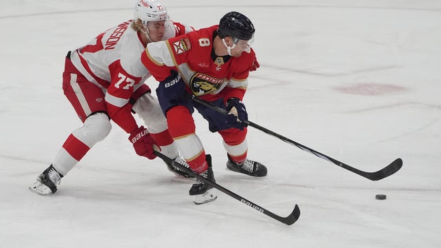 Red Wings Panthers Hockey 