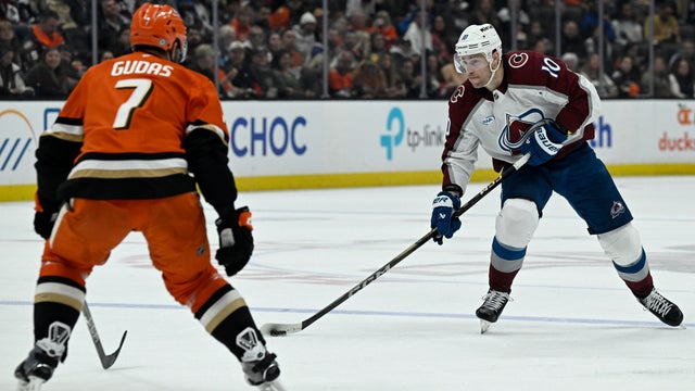 Avalanche Ducks Hockey 