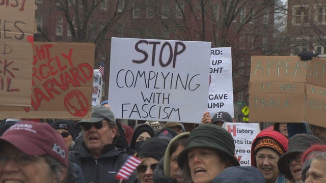 burton-6pm-harvard-protest-pkg-frame-456.jpg 
