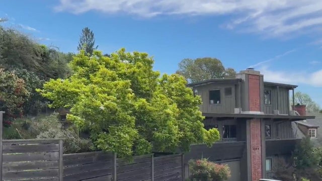 Berkeley Hills 