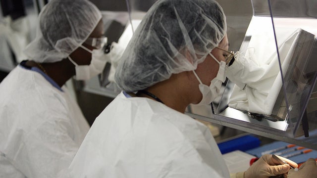 scientists science lab laboratory 