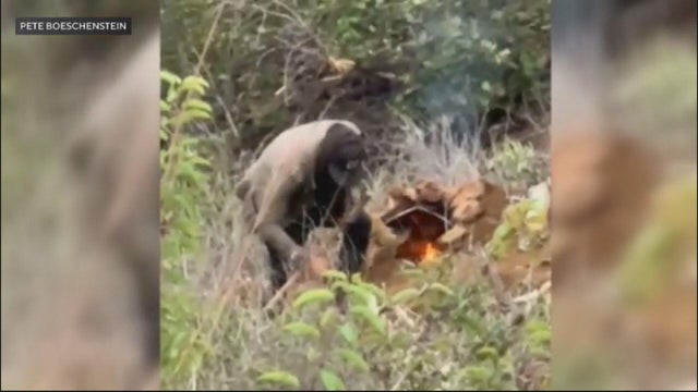 homeless-encampment-fires.jpg 
