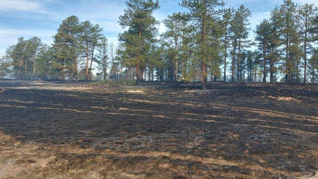 turkey-track-fire3.jpg 