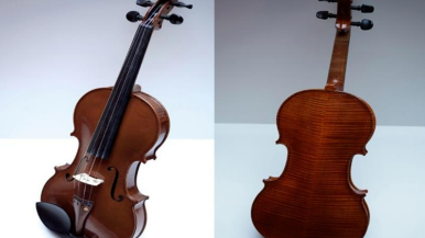 violin-taken-in-blue-line-robbery.png 